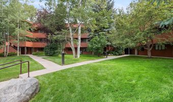 1326 Vine St 1326, Aspen, CO 81611