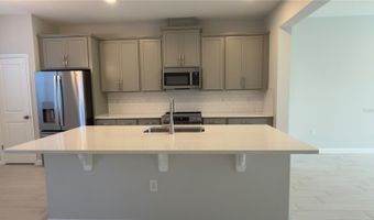 438 LADY PALM St, Apopka, FL 32703