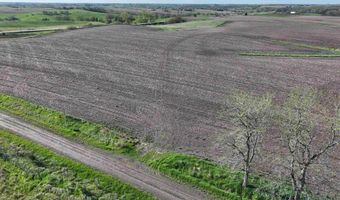 Vine Avenue, Ainsworth, IA 52201