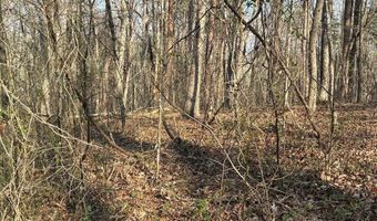 13356 Ellison Trce, Birchwood, TN 37308