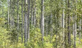 00 Pisgah Rd 2, Brandon, MS 39047