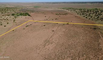 Tbd Wicked Sisters Way 38ac, Concho, AZ 85924