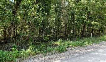 000 73rd Way, Bell, FL 32619
