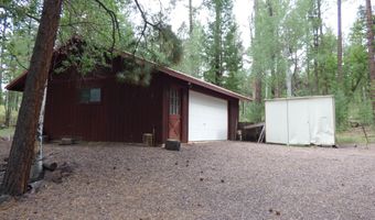 38 CR 2266, Alpine, AZ 85920