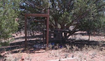 30 N9220, Concho, AZ 85924