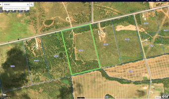 TBD East Tract County Road 356, Anson, TX 79501
