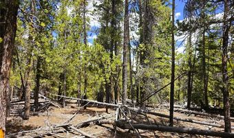 PCS # 10594 Looney Lane lot 0, Alma, CO 80420