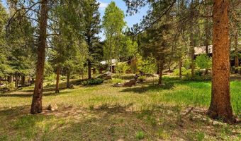 340 County Road 54, Almont, CO 81210