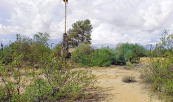 31607 N 64TH St, Cave Creek, AZ 85331