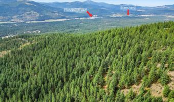 NNA USFS 2550 40 acres, Blanchard, ID 83804