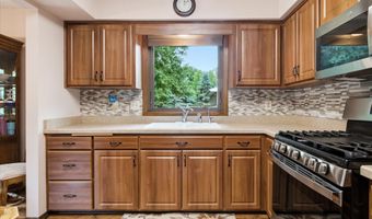 13445 Gladiola St NW, Andover, MN 55304