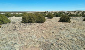 58 Antelope Ave, Concho, AZ 85924