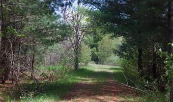 5826 S Morrison Rd, Alger, MI 48610
