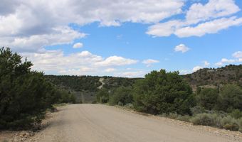 Tract 12 Trementina Road, Arroyo Hondo, NM 87513