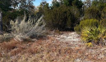NE 99th Pl, Archer, FL 32618