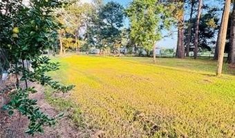 31268 CRAIN Rd, Albany, LA 70711