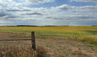 153 Acres Rock County, Bassett, NE 68714