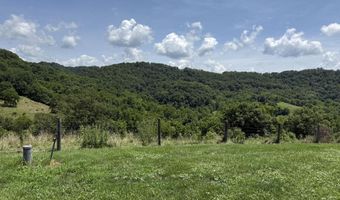 886 Trout Run Rd, Asbury, WV 24916