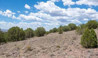 14 Xx W Bison Hunt Way, Chino Valley, AZ 86323