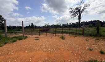 138 Little River 183, Ashdown, AR 71822
