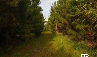 Flowers Road, Bay Minette, AL 36507