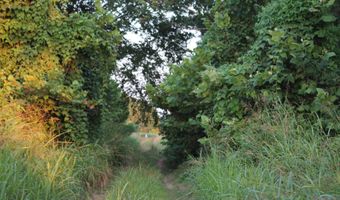 Bolivar Road, Benoit, MS 38725