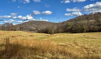 1520 Brittontown Rd, Afton, TN 37616