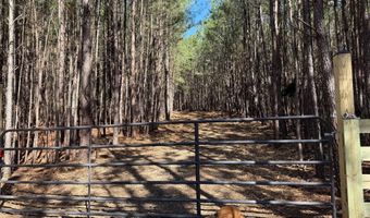 MOUNTAIN CUT RD lot D, Appomattox, VA 24522