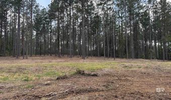 Ronald Sanks Road, Bay Minette, AL 36507