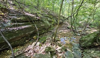 65 Acres Plainview Rd, Anderson, MO 64831