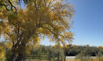ROAD 4599, Blanco, NM 87412