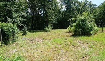 790 County Road 1681, Alba, TX 75410