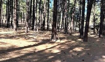 6 County Rd N2127, Alpine, AZ 85920