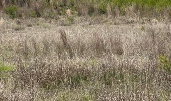 Highway 60 & N. County Road 199, Arnett, OK 73832