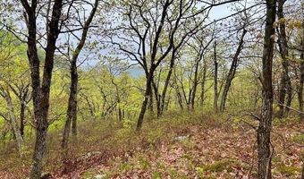 0 Off Langdon Rd, Charlestown, NH 03603