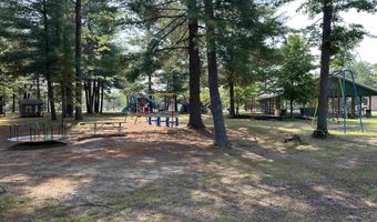 6239 Blackberry Dr, Alger, MI 48610