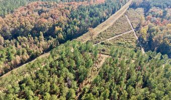 TBD Binnicker Bridge Road, Bamberg, SC 29003