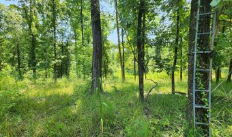 Barnacre Road, Batesville, MS 38606