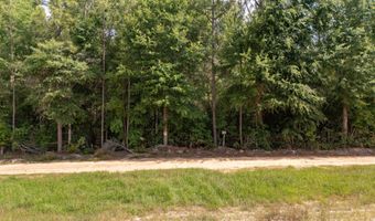 0 Homestead Rd, Baker, FL 32531