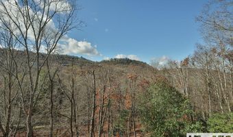16 S Sassafras Ct, Highlands, NC 28741