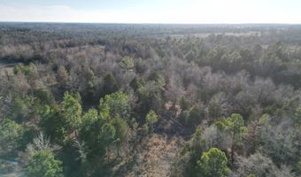 412110 E 1900 Rd, Antlers, OK 74523