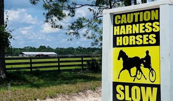 2120 15th Way, Bell, FL 32619