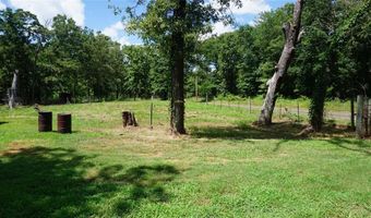 790 County Road 1681, Alba, TX 75410