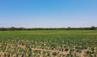 81 3+/- Acres SW Boyer Rd, Augusta, KS 67010