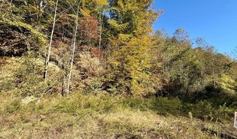 Kidd Fork, Banner, KY 41603