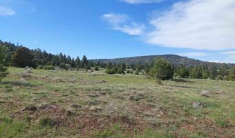 01195 Rito Hondo Rd, Antonito, CO 81120