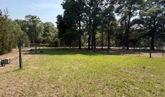 4760 NW 55th Ave, Bell, FL 32619