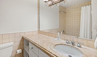 980 E Hyman Avenue 3, Aspen, CO 81611