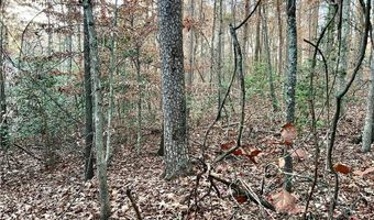 0 PEBBLE CREEK # 7 Ln, Alto, GA 30510