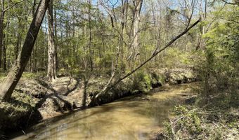 SW Auburn Drive, Bogue Chitto, MS 39629